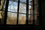 heilanstalt milbitz_185